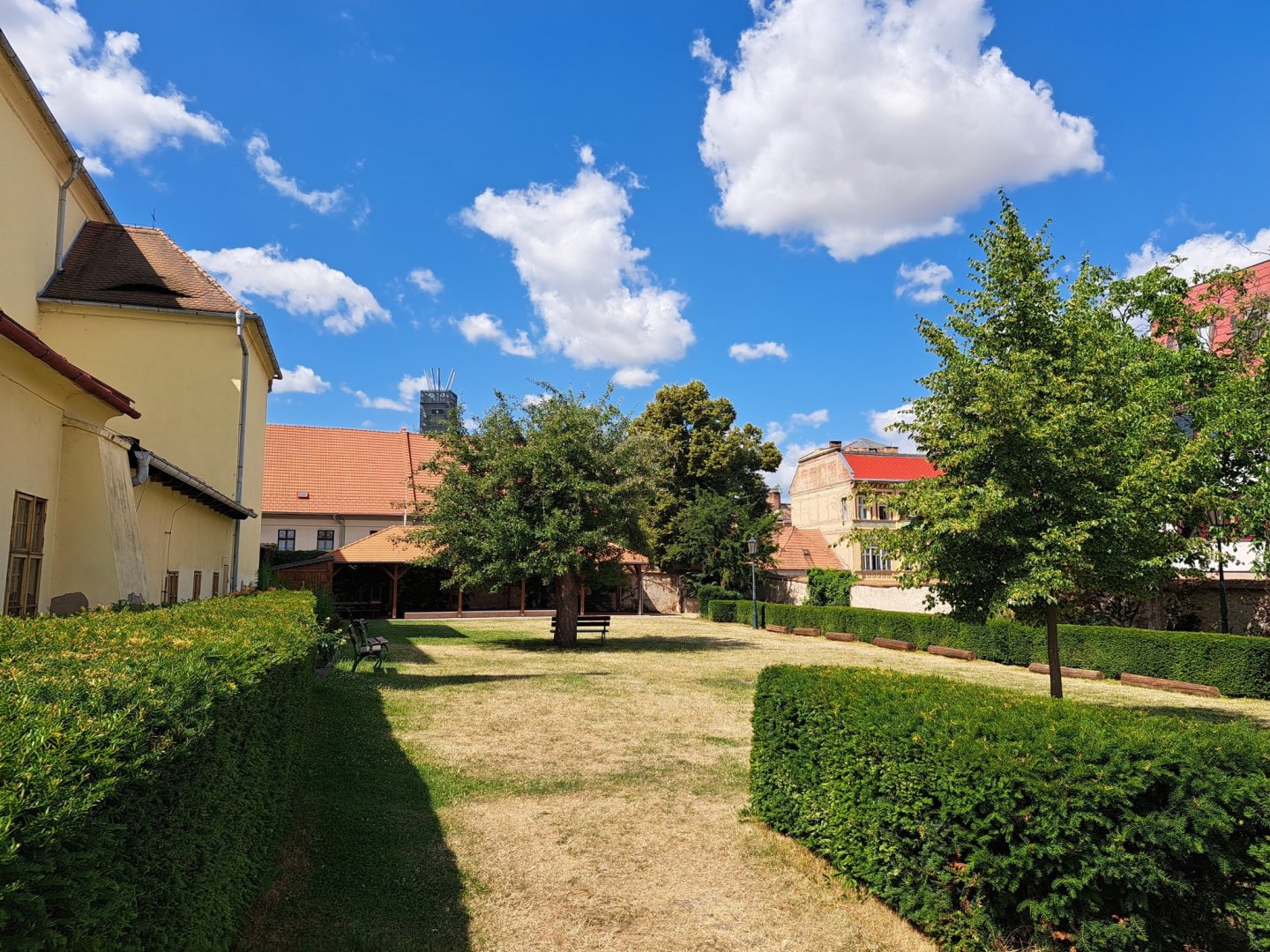 Letní lekce jógy - prázdninový provoz